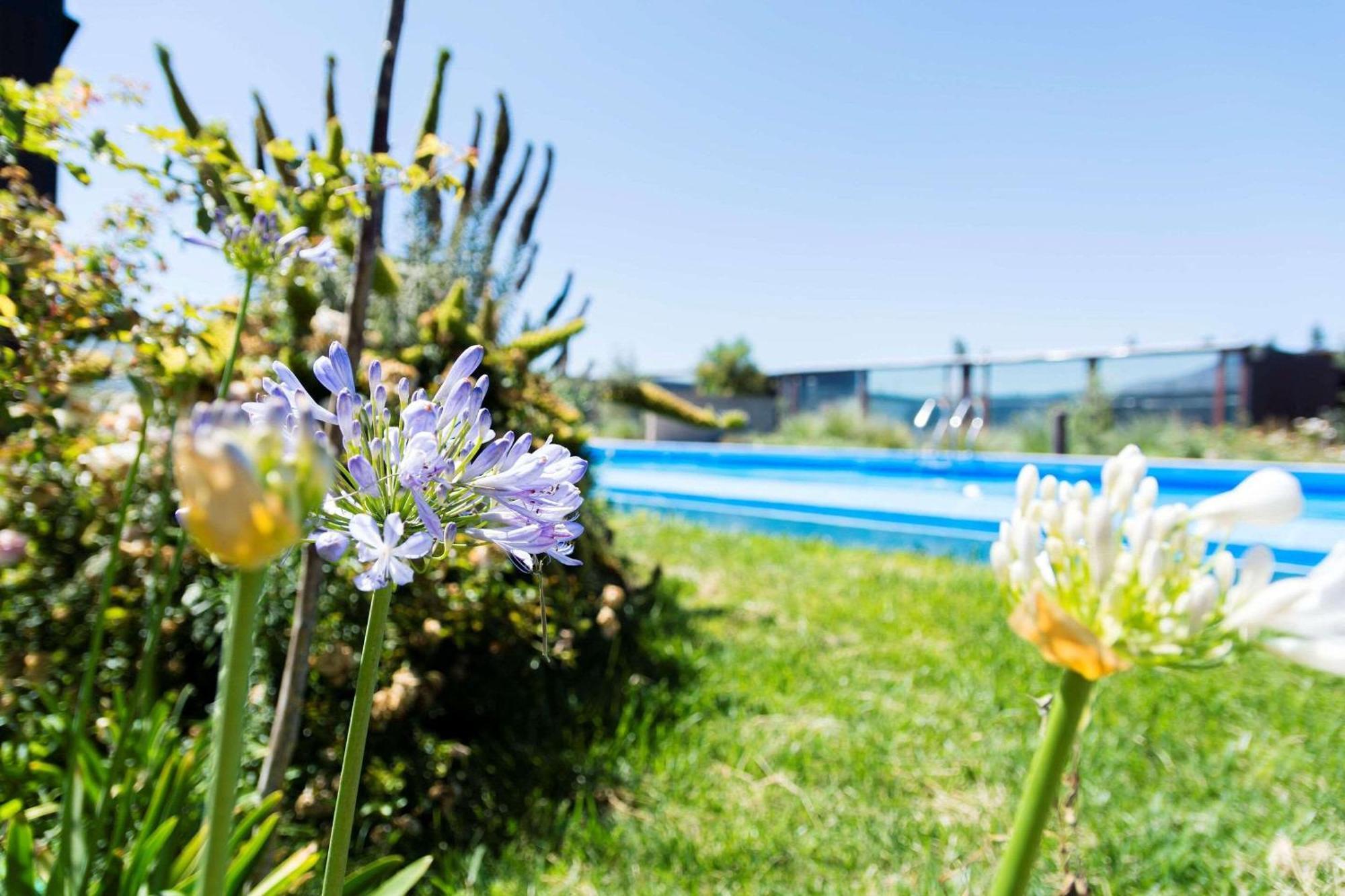 Park Inn By Radisson Los Olivos De فالينار المظهر الخارجي الصورة